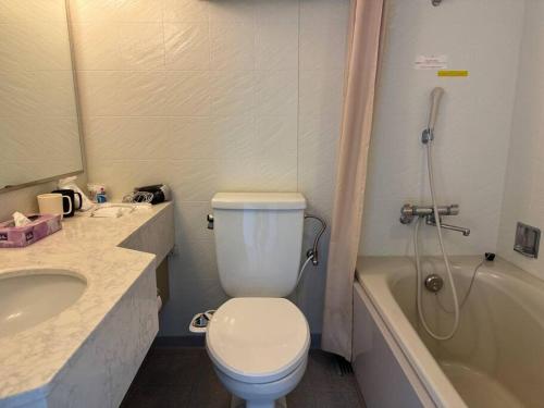 a bathroom with a toilet and a sink and a tub at 海王屋 Kaioya in Fukai