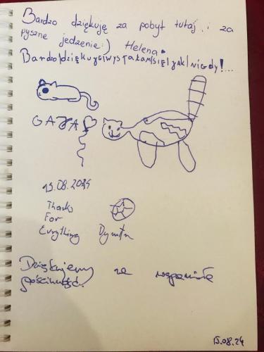 a drawing of a cat playing with a soccer ball at gaydi in Gori