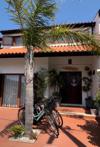 a bike parked next to a palm tree in front of a house at O CANTINHO DA RIA - JACUZZI with water at 35 degrees and POOL in Torreira