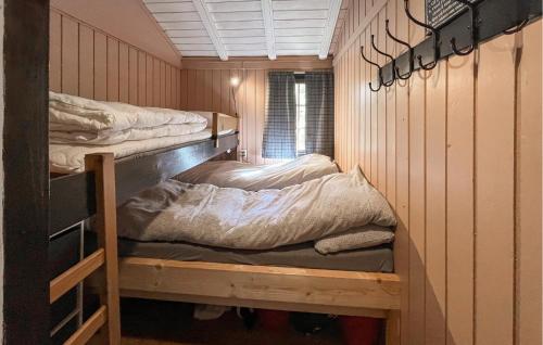 a room with two bunk beds in a cabin at Cozy Home In Vinje With Wifi in Hommo