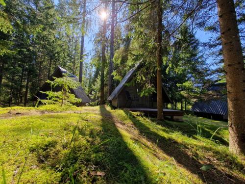 a cabin in the woods with trees and grass at Rõmeda kämping in Rõmeda