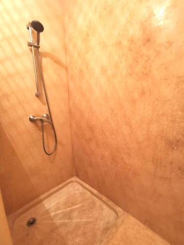 une douche avec pommeau de douche dans une salle de bain dans l'établissement T2 Ambiance zen, hyper calme au coeur de Valence, à Valence