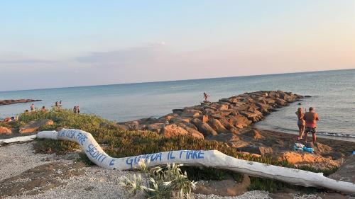 Φωτογραφία από το άλμπουμ του Marilyn House σε Ladispoli