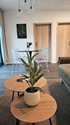 una pianta seduta su un tavolo in soggiorno di Rosemarin Green a Capodistria
