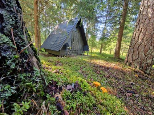 a small cabin in the middle of a forest at Rõmeda kämping in Rõmeda