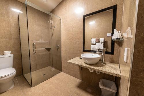 a bathroom with a shower and a toilet and a sink at 315 Euro Motel and Serviced Apartments in Dunedin