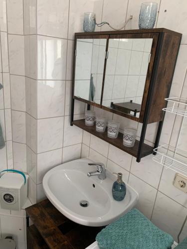 a bathroom with a sink and a mirror and a toilet at Ferienwohnung am Tivoli in Freiberg