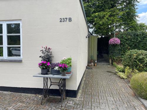 a table with potted plants on it next to a house at Jonstrupvejens Apartments Lejl D in Ballerup