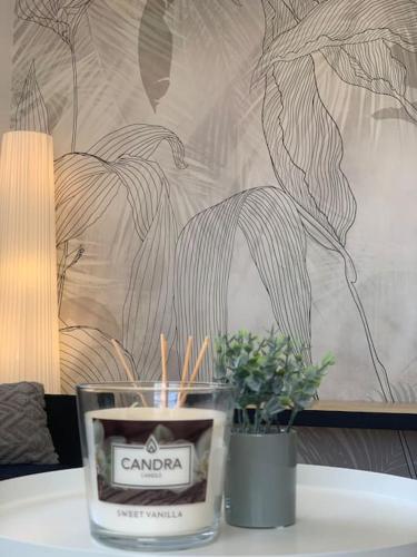 Gallery image of Le Challandais en hyper centre! in Challans