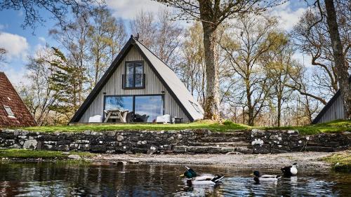 a group of ducks in the water in front of a house at Lochend Chalets in Port of Menteith