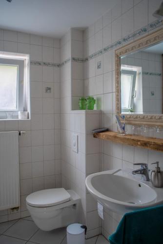a bathroom with a sink and a toilet and a mirror at Das Alte Forsthaus Spiegelhütte in Lindberg