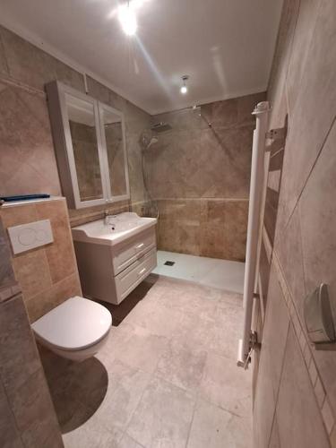 une salle de bain avec toilettes, lavabo et douche dans l'établissement Maison bord de mer - piscine -, à Théoule-sur-Mer