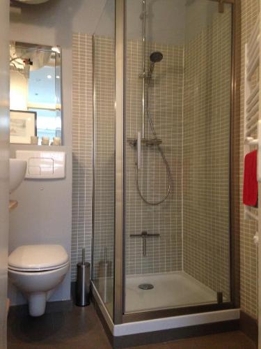 a bathroom with a shower and a toilet at Appartement Comme Une Petite Maison in Malakoff