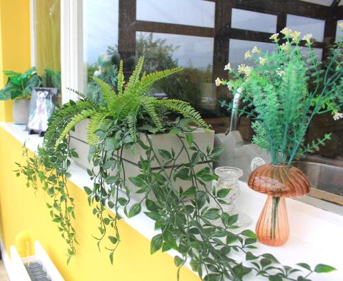 a window sill with two vases of plants on it at Cairnview Bed and Breakfast in Larne