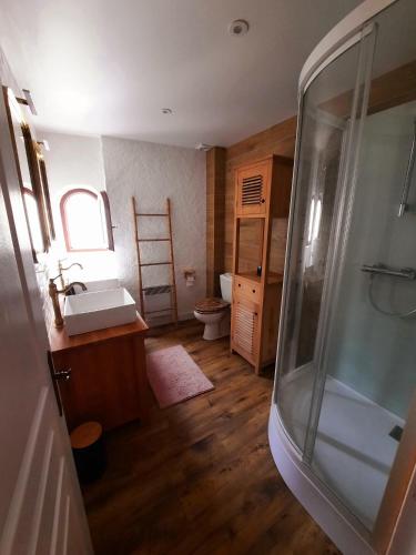 une salle de bain avec un lavabo, une douche et des toilettes dans l'établissement La maison du tailleur de pierre, à Cordes-sur-Ciel