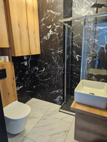 Ένα μπάνιο στο Apartament Misiągiewicza