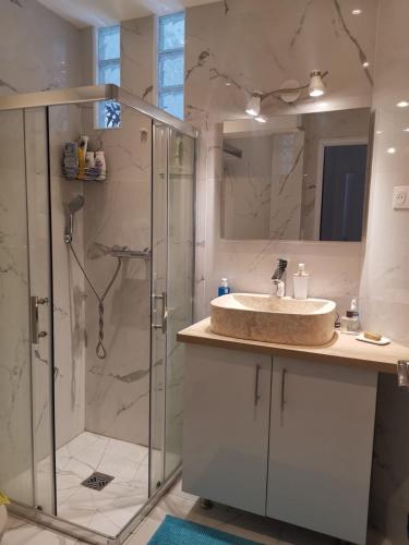 une salle de bain avec un lavabo et une douche dans l'établissement Juan 3 chambres - terrasses - plage, à Juan-les-Pins