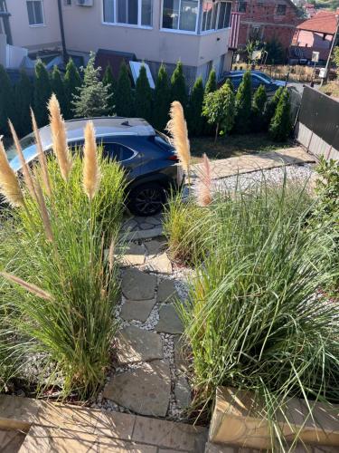 a car parked in a yard with tall grass at Villa Ana - Charming Appartments in Belgrade