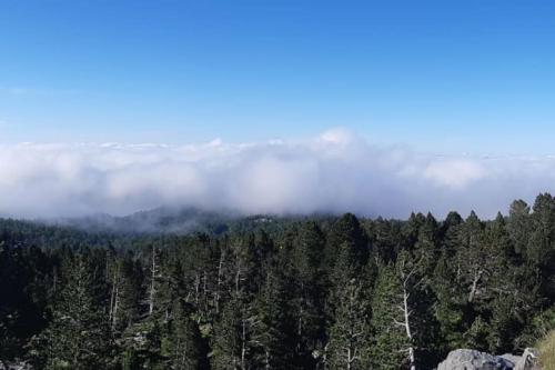 Vue d'une forêt avec des nuages en arrière-plan dans l'établissement studio la pierre saint martin refait au gout du jour vue sur la vallée, à La Pierre Saint Martin