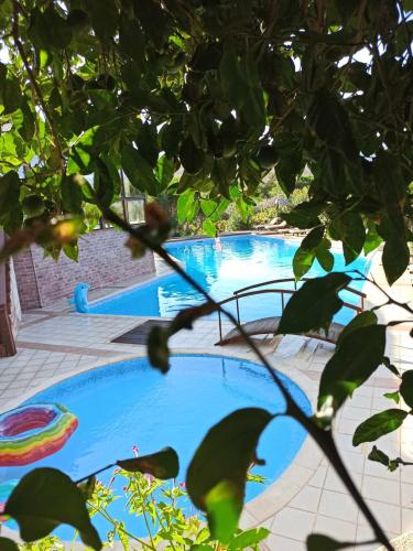two swimming pools with an umbrella and an umbrella at Orfeas Studios Molivos in Mithymna