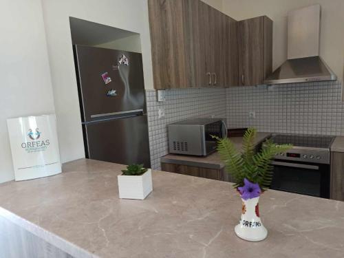 a kitchen with a stainless steel refrigerator and a pineapple at Orfeas Studios Molivos in Mithymna