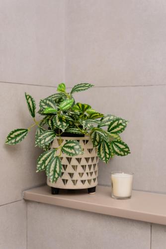 a plant sitting on a shelf with a candle at Sharjah apartment by Stay Bnb in Sharjah