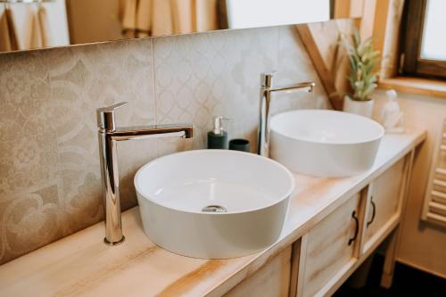 two sinks on a counter in a bathroom at Roubenka Sobotín in Sobotín