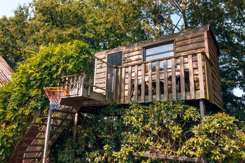 a tree house with a basketball hoop at Bed & Brood Morgenrood in Bruchterveld