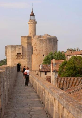 a person walking over a bridge with a castle at Charmant appartement au calme situé en Camargue in Saint-Laurent-dʼAigouze
