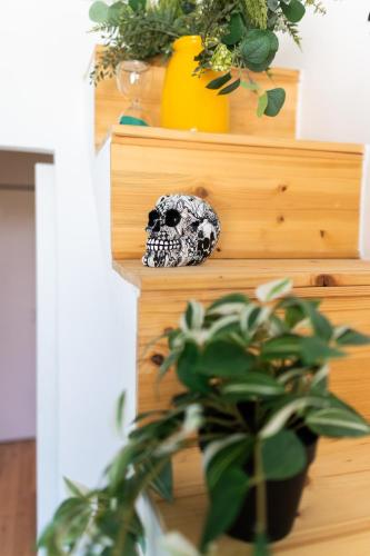 a black and white skull sitting on a staircase with a plant at D52 - das Businessapartment in Dresden
