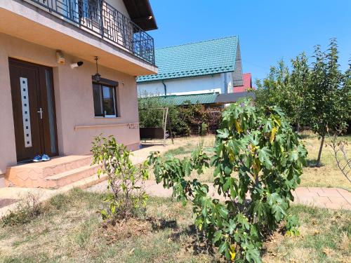 Zahrada ubytování Ola's House