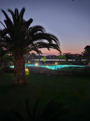a palm tree in a park at night at Vista Del Sol in Murcia