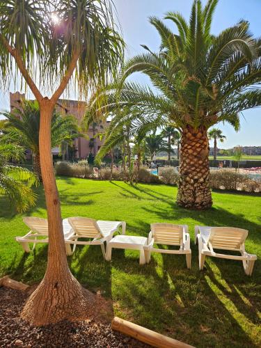 a group of chairs and palm trees in a park at Vista Del Sol in Murcia
