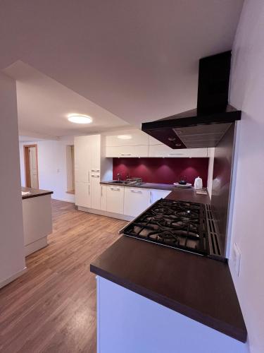 Η κουζίνα ή μικρή κουζίνα στο Appartement Jolimont 21 de 120m2
