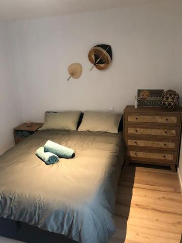 Appartement Cosy-Grand Stade Villeneuve d'Ascq