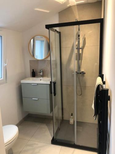 une salle de bain avec douche et toilettes dans l'établissement Appartement Cosy-Grand Stade Villeneuve d'Ascq, à Lezennes