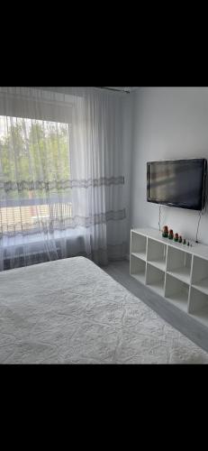 a bedroom with a bed and a flat screen tv at Уютный домик в Боровом in Borovoye