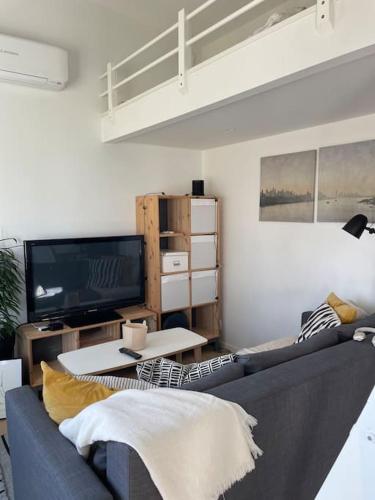 a living room with a blue couch and a tv at Nybyggt gästhus i vacker omgivning in Höllviken