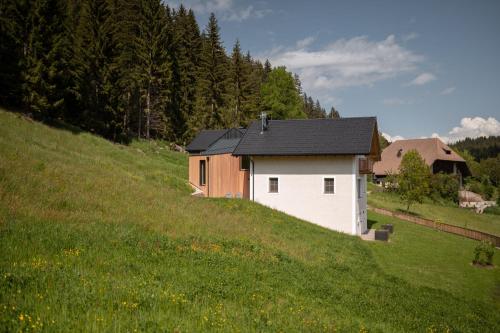a house on a hill in a field at Haus Engadein in Auna di Sopra