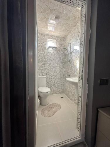 a bathroom with a toilet and a sink at Apartment- GURO in Batumi