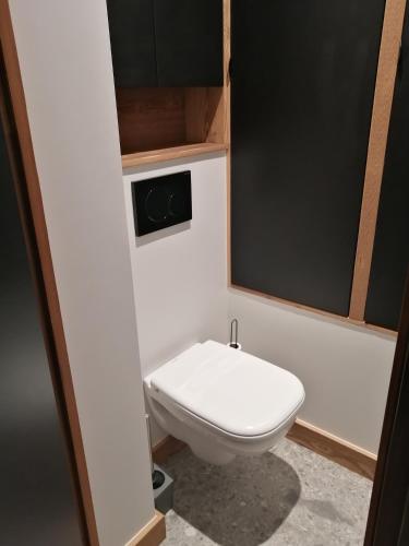 une salle de bain avec toilettes dans une chambre dans l'établissement LE 400 à BSM, à Bourg-Saint-Maurice