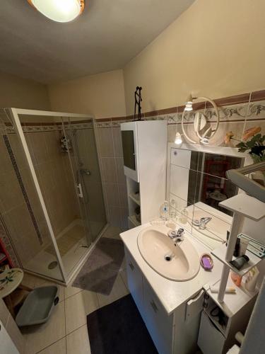 a bathroom with a sink and a shower at Appartement "Soleil, Lavande et Oliviers" in Pertuis