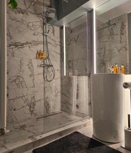 Koupelna v ubytování Aparthotel OMV 17