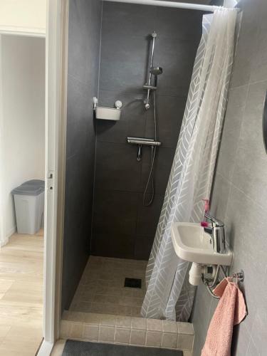 a bathroom with a shower and a sink at Torensduin aan zee in Egmond aan Zee