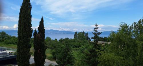 Paisatge natural a prop de l'apartament