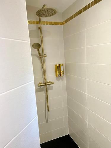 une douche avec pommeau de douche dans une salle de bain dans l'établissement La fleur des marais, à Batz-sur-Mer