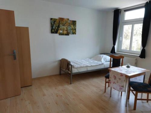 a room with a bed and a table and a window at Ferienwohnungen im Herzen Sachsens in Döbeln