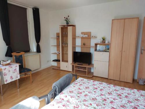 a living room with a bed and a tv at Ferienwohnungen im Herzen Sachsens in Döbeln