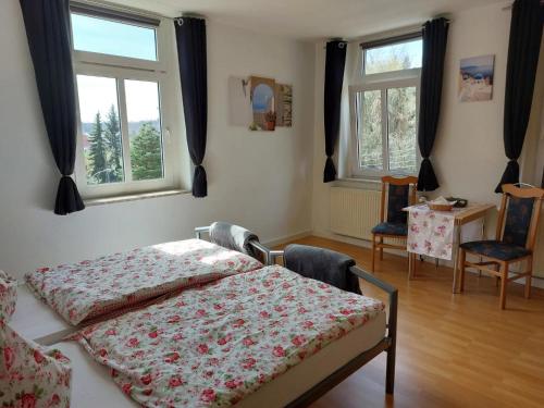 a bedroom with a bed and two windows at Ferienwohnungen im Herzen Sachsens in Döbeln