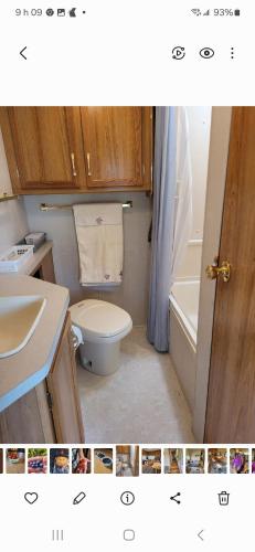 a bathroom with a toilet and a sink and a tub at Le Gîte Du Gardien Blanc in Saint-David-de-Falardeau